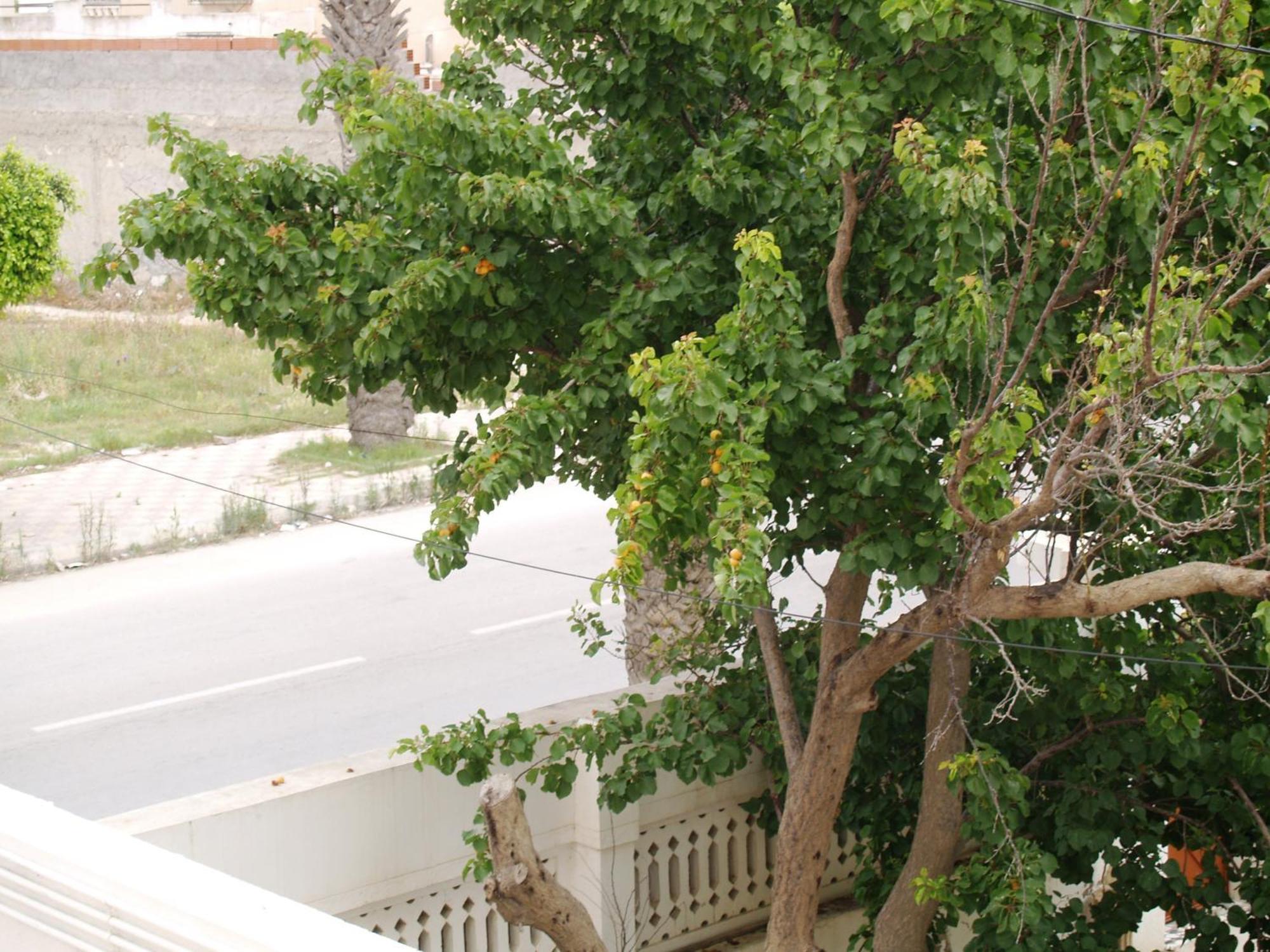 Dar El Amen Appartements Mahdia Bilik gambar